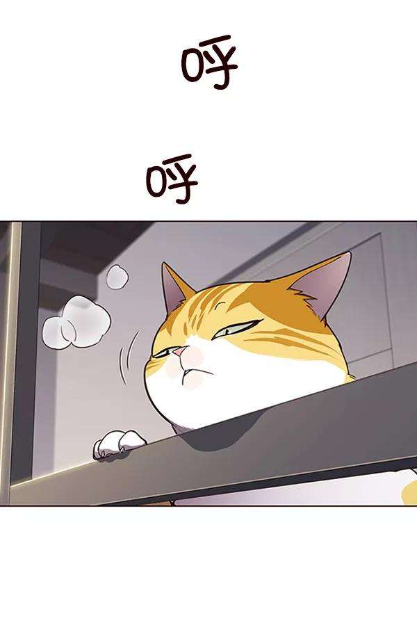 觉醒吧，铲屎官！64话