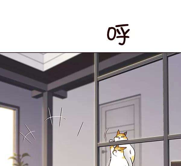 觉醒吧，铲屎官！64话