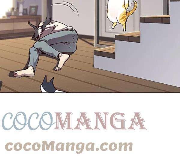 觉醒吧，铲屎官！64话