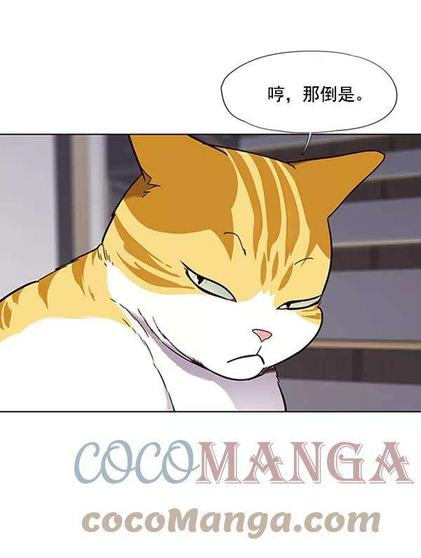 觉醒吧，铲屎官！64话