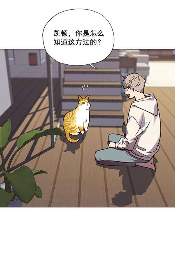 觉醒吧，铲屎官！64话