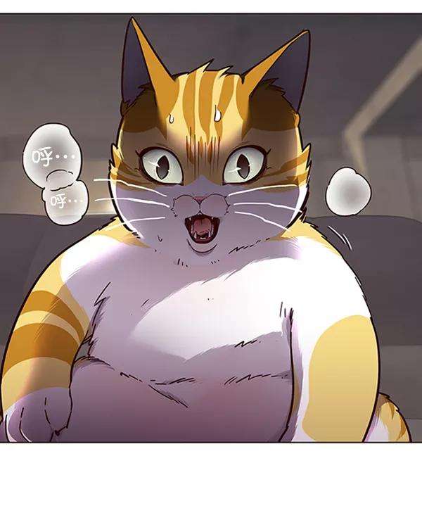 觉醒吧，铲屎官！65话