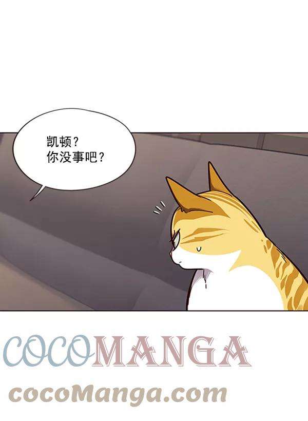 觉醒吧，铲屎官！65话