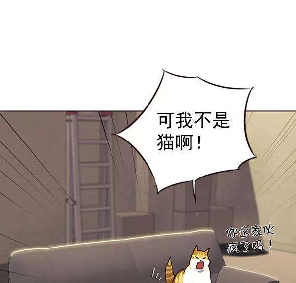 觉醒吧，铲屎官！65话