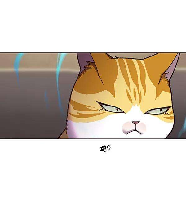 觉醒吧，铲屎官！65话