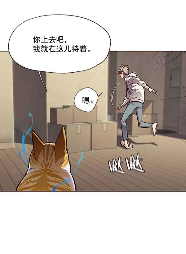 觉醒吧，铲屎官！65话