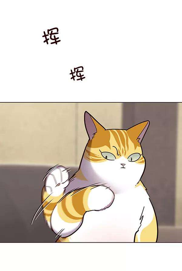 觉醒吧，铲屎官！65话