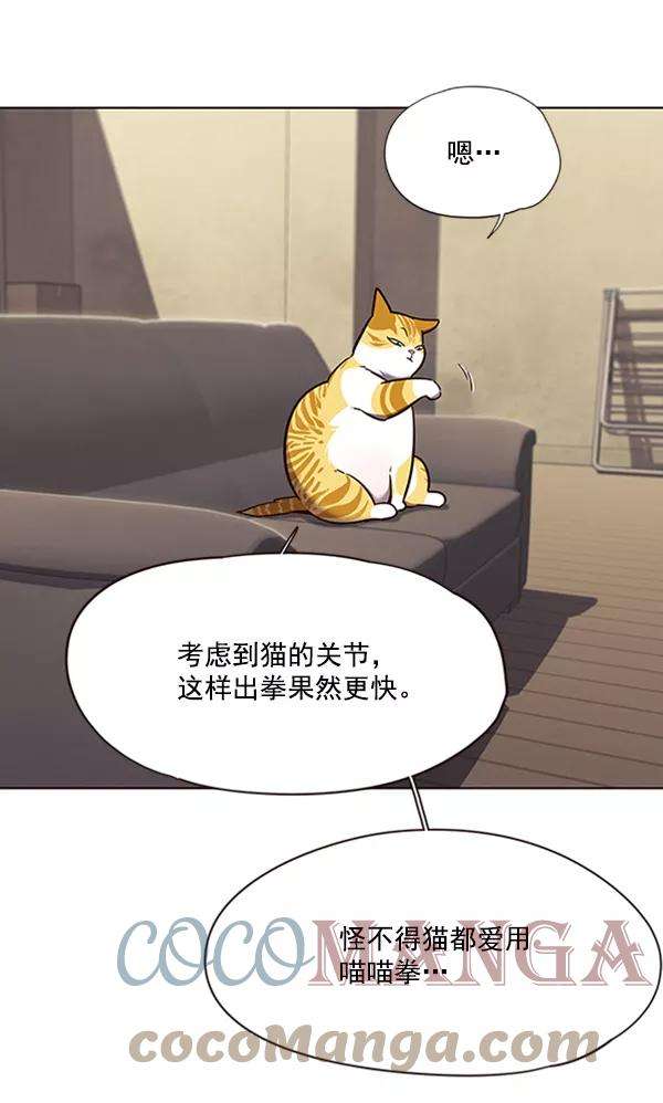 觉醒吧，铲屎官！65话