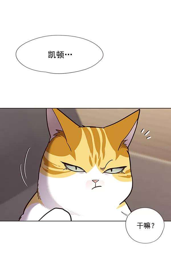 觉醒吧，铲屎官！65话