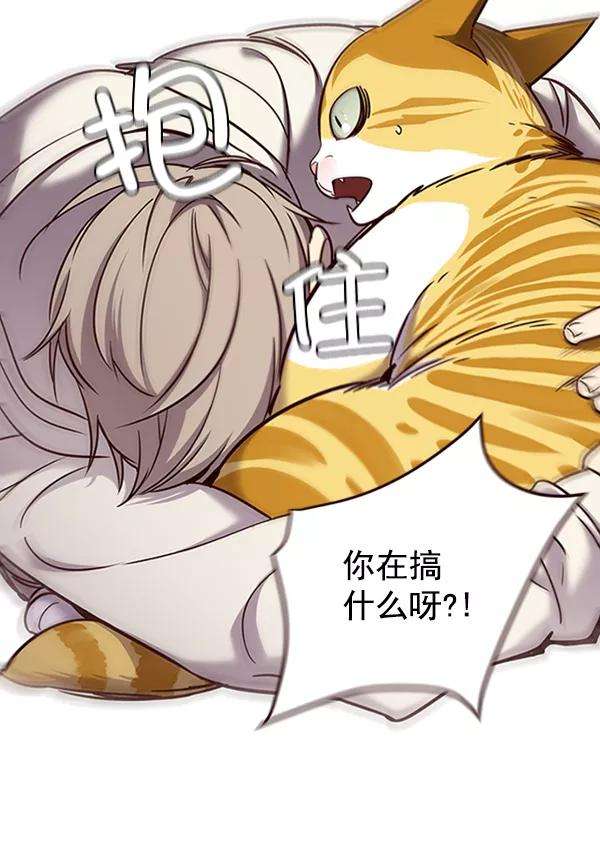 觉醒吧，铲屎官！65话