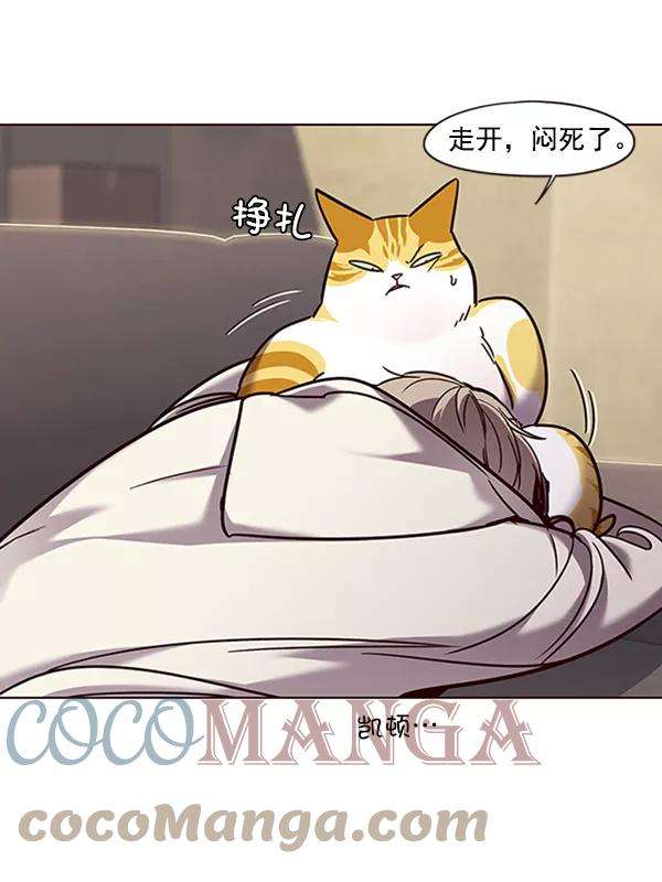 觉醒吧，铲屎官！65话