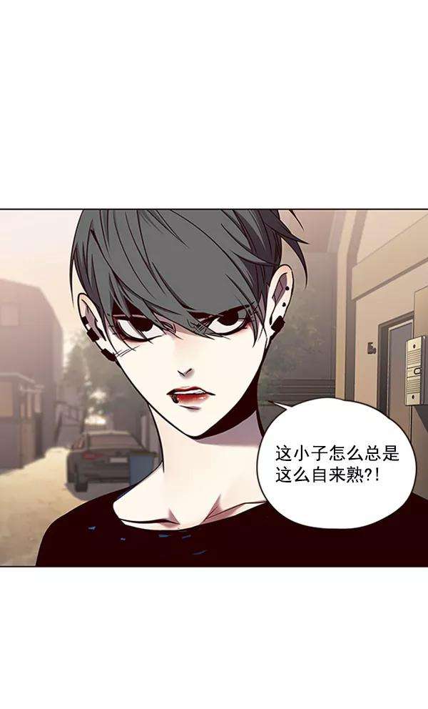 觉醒吧，铲屎官！66话
