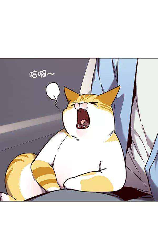 觉醒吧，铲屎官！67话