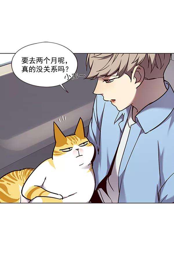 觉醒吧，铲屎官！67话