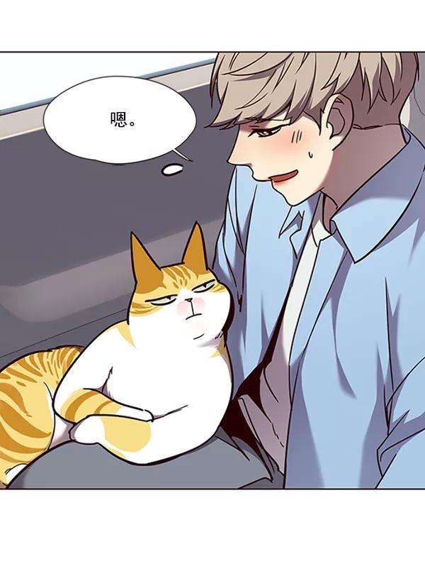 觉醒吧，铲屎官！67话