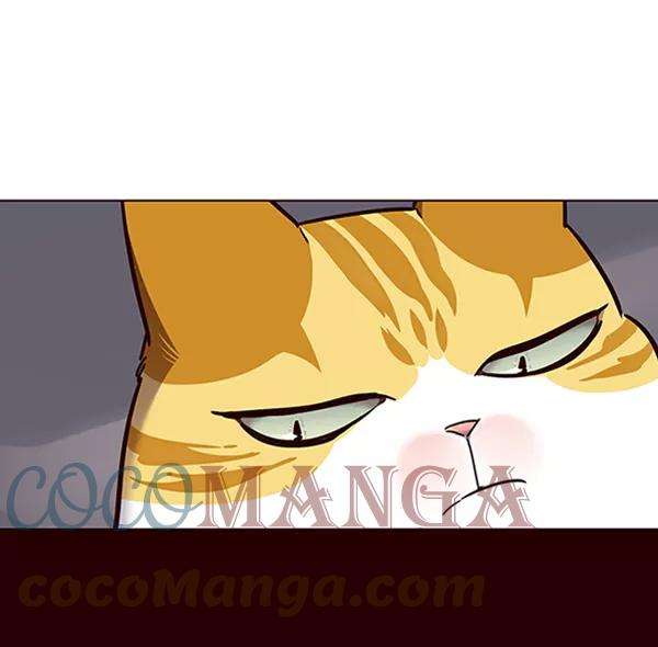 觉醒吧，铲屎官！67话