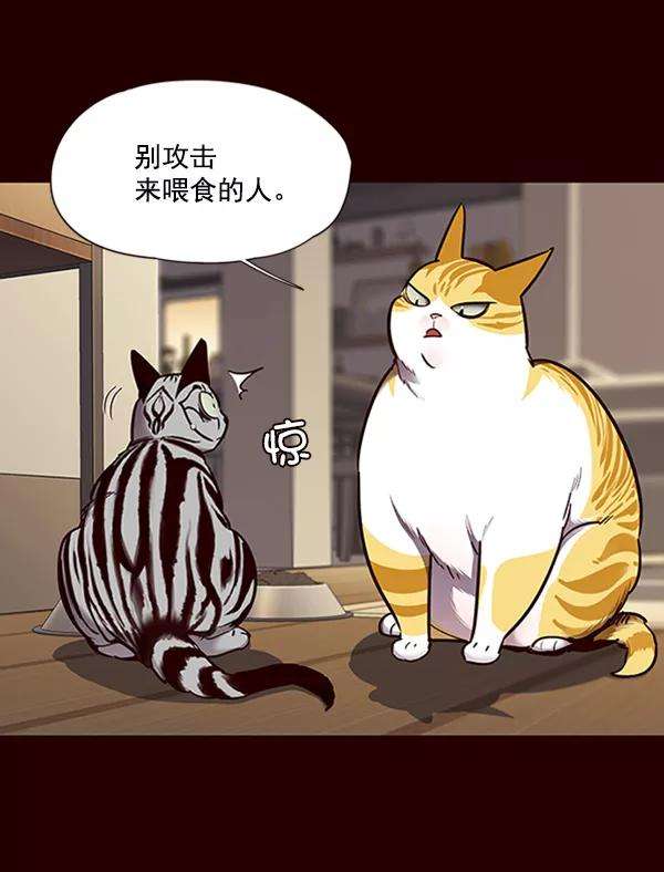 觉醒吧，铲屎官！67话