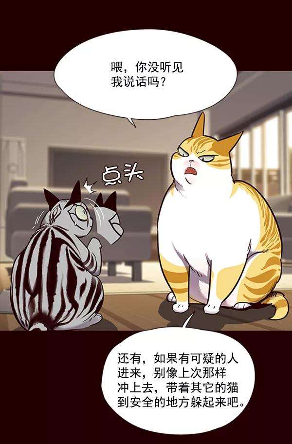 觉醒吧，铲屎官！67话