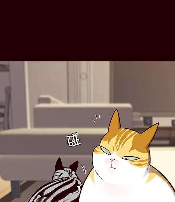 觉醒吧，铲屎官！67话