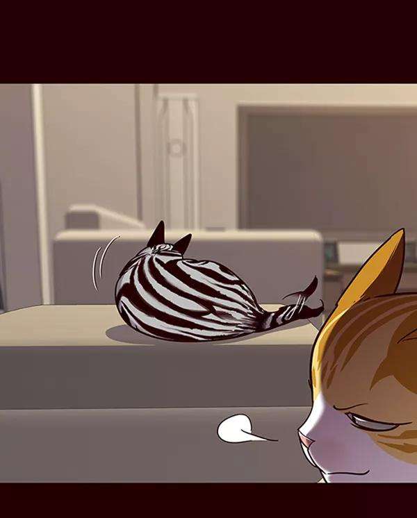 觉醒吧，铲屎官！67话