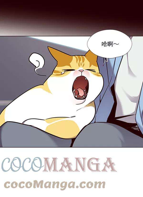 觉醒吧，铲屎官！67话