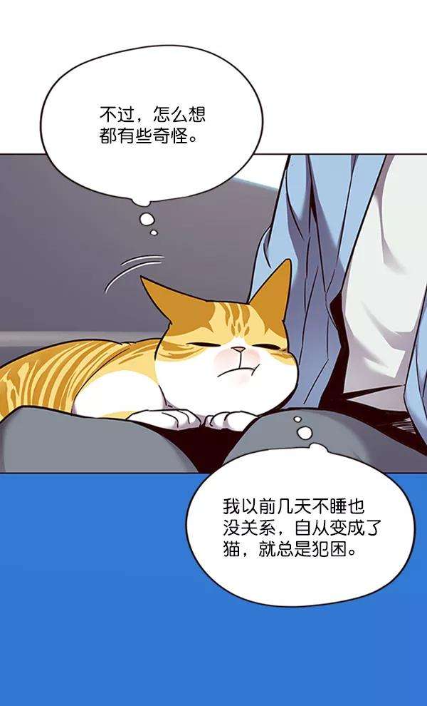 觉醒吧，铲屎官！67话