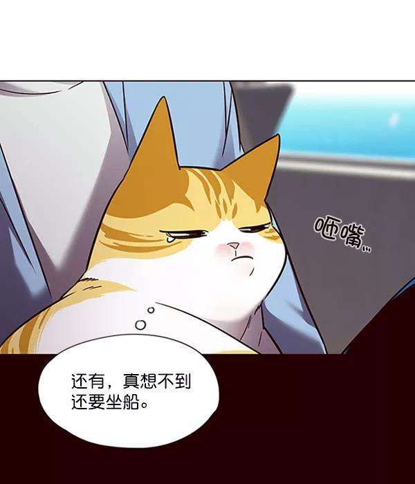 觉醒吧，铲屎官！67话