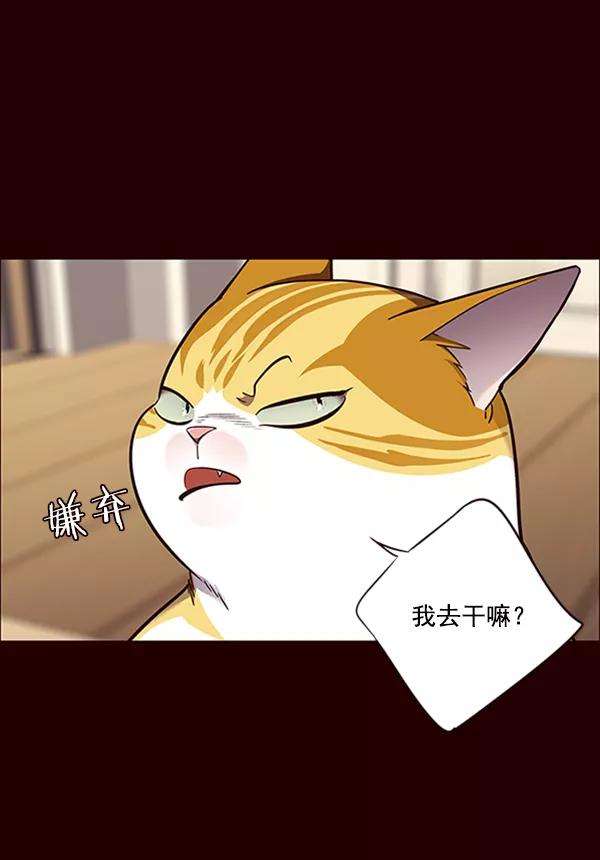 觉醒吧，铲屎官！67话