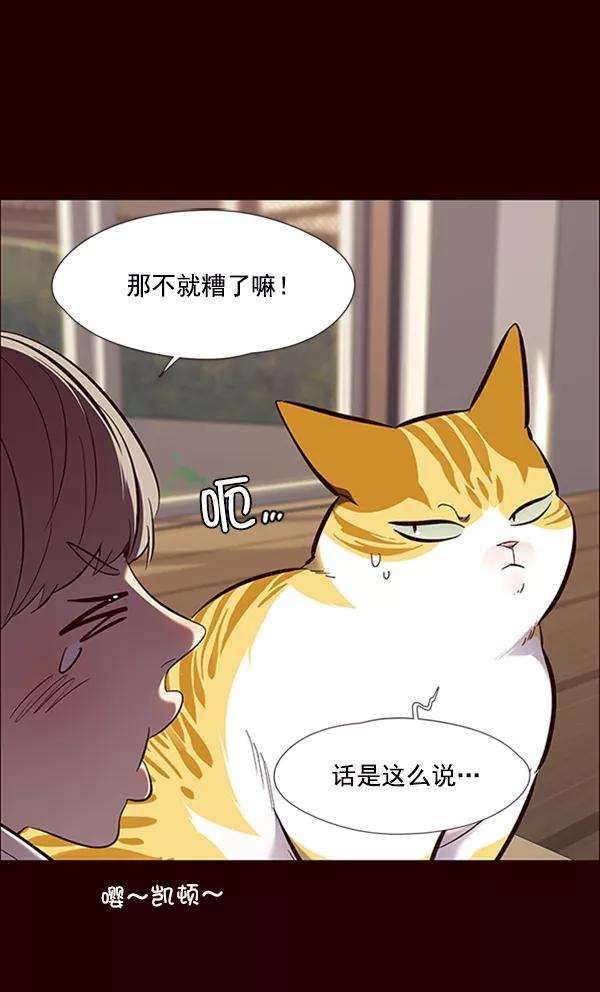 觉醒吧，铲屎官！67话