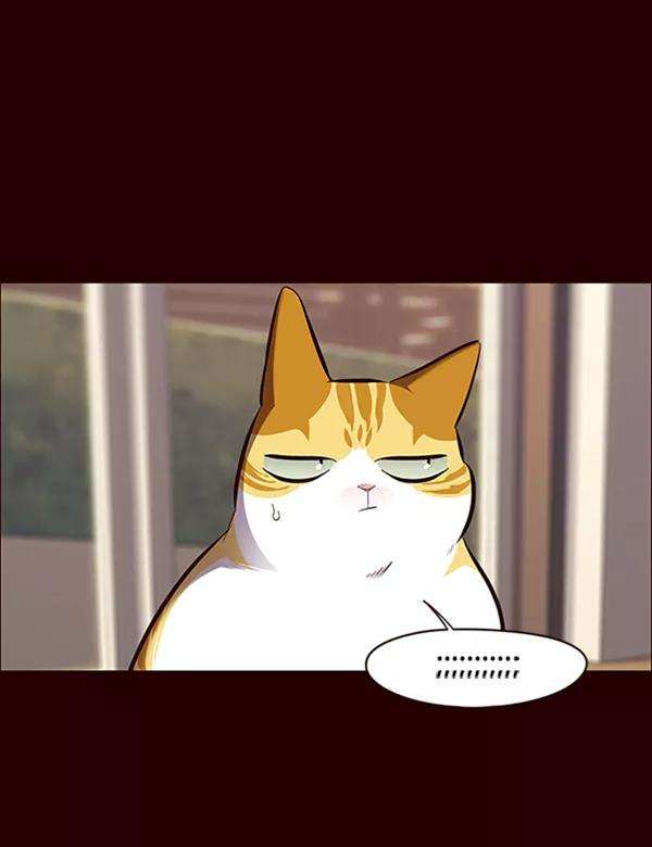 觉醒吧，铲屎官！67话