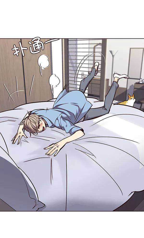 觉醒吧，铲屎官！68话