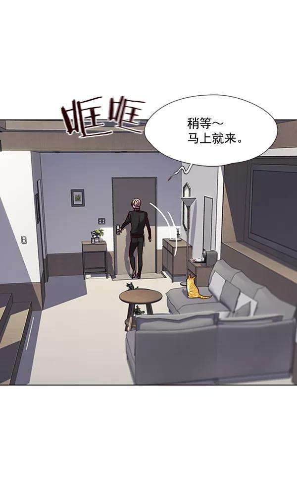 觉醒吧，铲屎官！68话