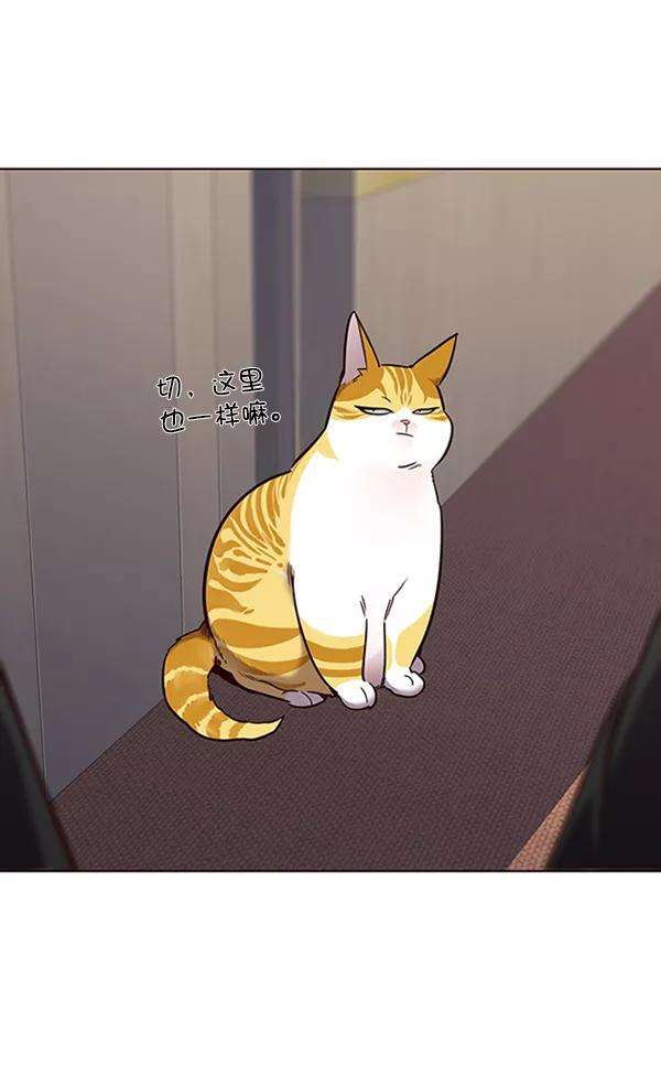 觉醒吧，铲屎官！68话