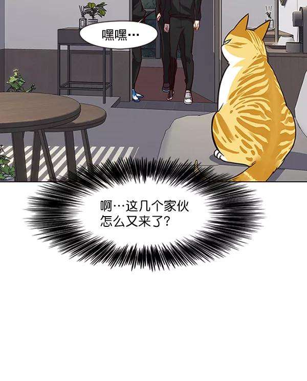 觉醒吧，铲屎官！69话