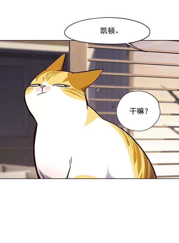 觉醒吧，铲屎官！69话