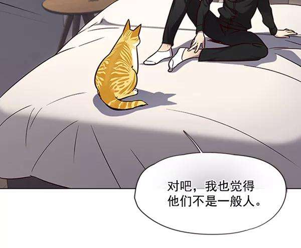 觉醒吧，铲屎官！69话