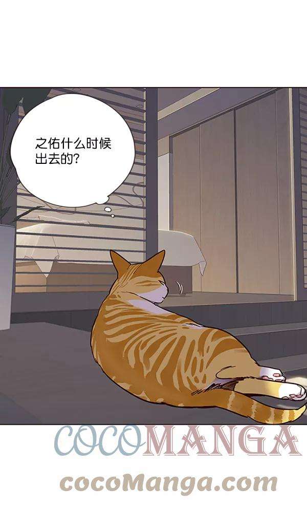 觉醒吧，铲屎官！70话