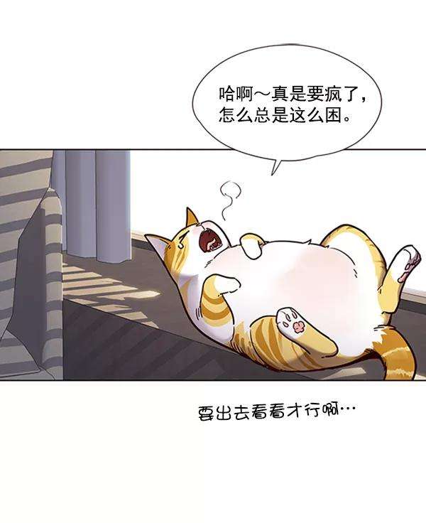 觉醒吧，铲屎官！70话