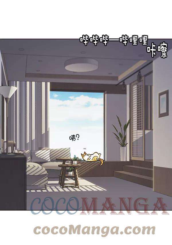 觉醒吧，铲屎官！70话