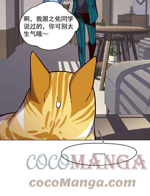 觉醒吧，铲屎官！70话