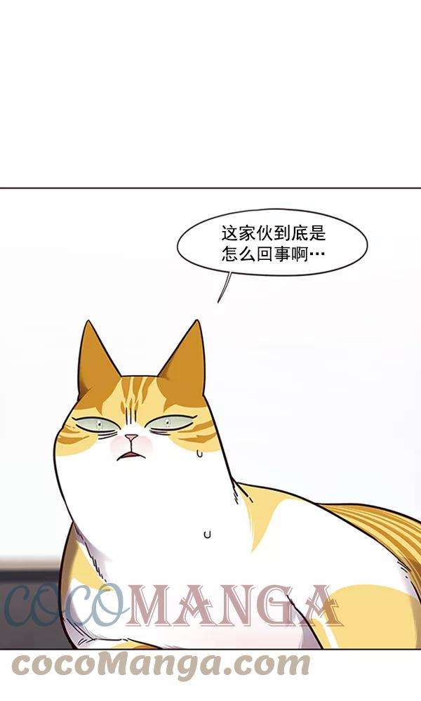 觉醒吧，铲屎官！70话