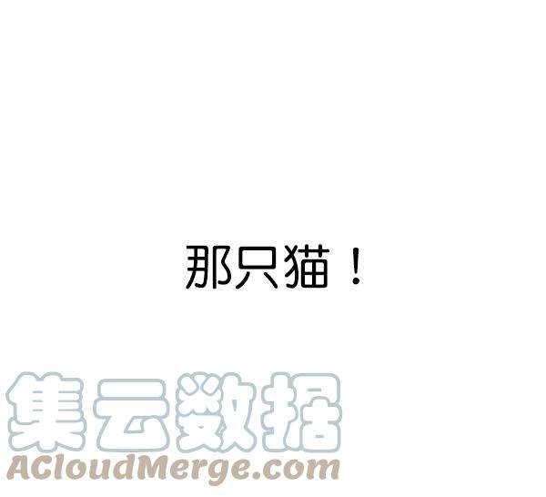 觉醒吧，铲屎官！164话