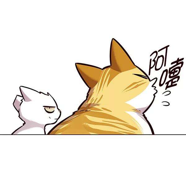 觉醒吧，铲屎官！164话