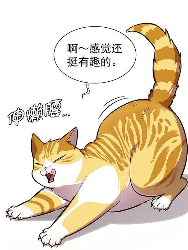 觉醒吧，铲屎官！164话