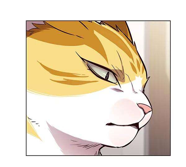 觉醒吧，铲屎官！164话