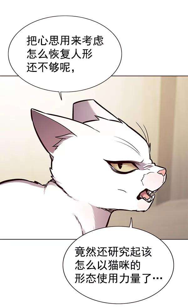 觉醒吧，铲屎官！164话