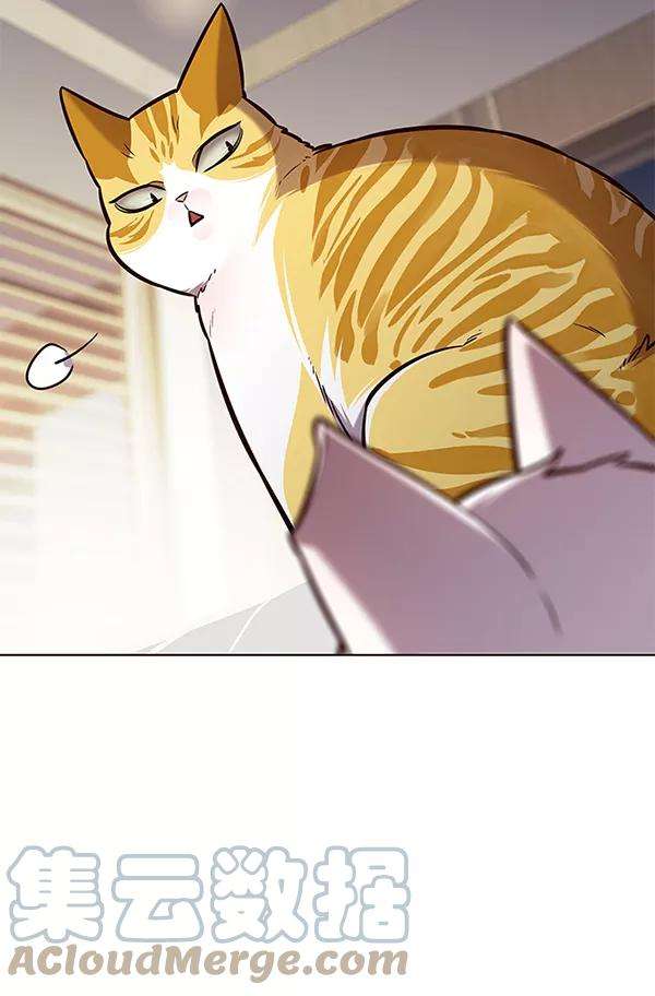 觉醒吧，铲屎官！164话