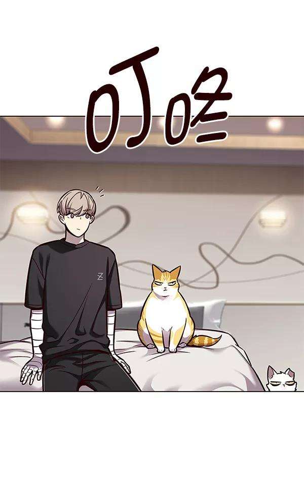 觉醒吧，铲屎官！164话