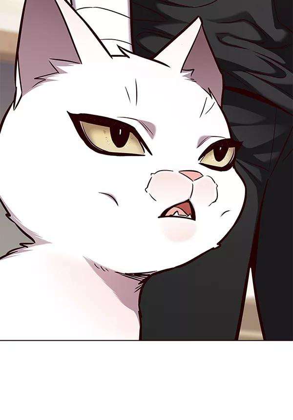 觉醒吧，铲屎官！164话