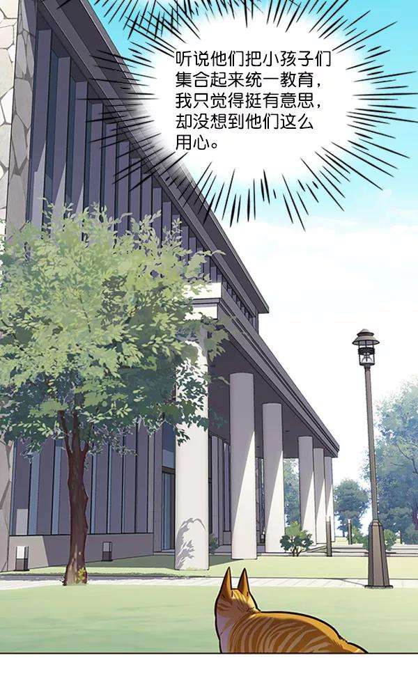 觉醒吧，铲屎官！71话